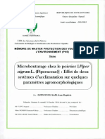 Memoire 636933462675814310 PDF