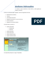 7-Metabolismo Hidrosalino