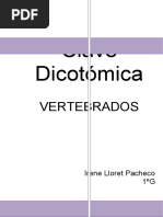 Clave Dicotómica-Vertebrados