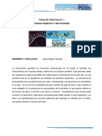 4B2 - Segura Grados - 2-Ficha de Práctica 1-Código Genético y Mutaciones