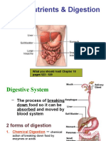 CH 18: Nutrients & Digestion: What You Should Read! Chapter 18 Pages 523 - 529