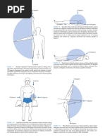 Rom PDF