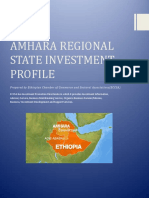 Amhara-Major Investment Opportunities