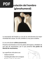 Articulación Glenohumeral Lippert v2 PDF