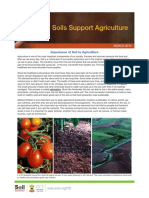 Importance of Soil To Agriculture