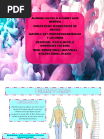 Cuadro Comparativo