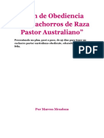 Cachorro Pastor Australiano