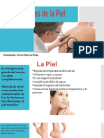 Lesiones de La Piel