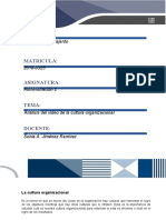 Analisis Del Video La Cultura Organizacional