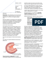 Fisiología Guyton Cap 62 y 63