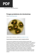 Fungos Produtores de Micotoxinas - Microbiologia