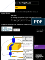 Pathologies-sus-hépatiques-VLDR