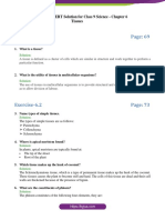 Exercise-6.1: NCERT Solution For Class 9 Science - Chapter 6 Tissues