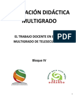 Planeción Multigrado Bloque IV