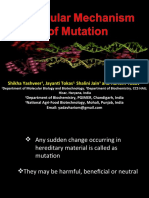 Molecular Mechanism of Mutation