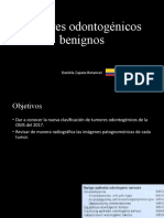 Tumores Odontogénicos Benignos