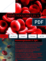 Immunoglobulin A