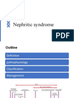 Nephritic Syndrome