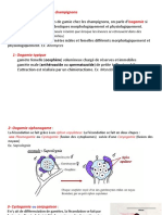 Resproduction Sexuée Des Champignons