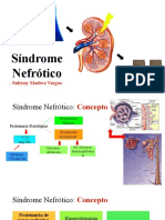 Sindrome Nefrotico