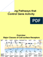 16) Signaling Pathways That Control Gene Activity