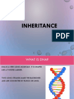 Inheritance