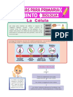 La Célula para Quinto de Primaria