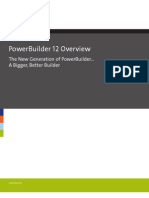 Powerbuilder 12 Overview: The New Generation of Powerbuilder... A Bigger, Better Builder