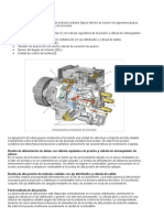 Estructura y Funcionamiento