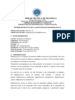 Informe 2