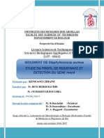 Isolement de Staphylococcus Au - Jihane KENFAOUI - 4098