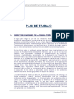 PLAN DE TRABAJO Consultoria