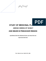 Medicinal Plants Among Weeds of Wheat and Maize in Pakistan