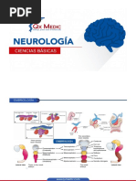 Ciencias Básicas - Neurología