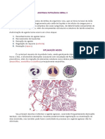 Anatomia Patológica Parte 1