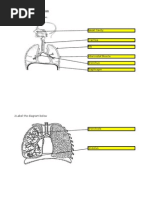 1 Label The Diagram Below.: Chapter 1: Respiration