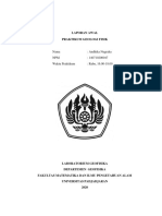 Laporan Awal Praktikum Geologi Fisik Bat