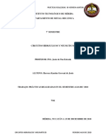 Circuitos Hidraulicos y Neumaticos Realizados Durante Un Semestre