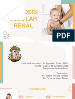 Acidosis Tubular Renal