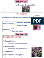 Farmacognosia EQUINACEA. Propolis Clase