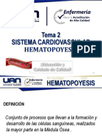 Clase 6 - Tema 2 Hematopoyesis