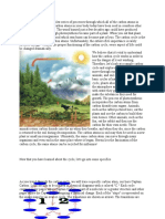 Carbon Cycle