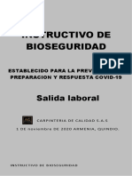 Bioseguridad Istructivo