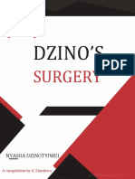 Dzino's Surgery