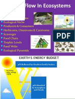 Energy Flow in Ecosystems