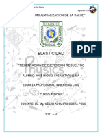 1°trabajo N°-1 Elasticidad