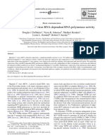 Intracellular Hepatitis C Virus RNA-dependent RNA Polymerase Activity