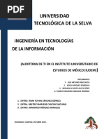 Auditoria de Ti en El Instituto Universitario de Estudios de México (Iudem)