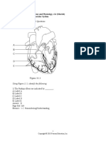 11.1 Multiple Choice Part I Questions: Chapter 11 The Cardiovascular System