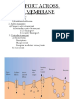 Transport Across Cell